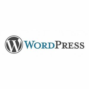5 Essential WordPress Development Plugins